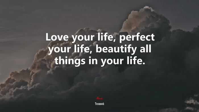 Love your life, perfect your life, beautify all things in your life. | Tecumseh quote