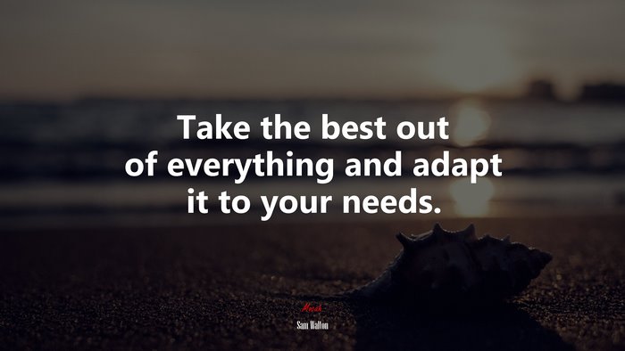 Take the best out of everything and adapt it to your needs. | Sam Walton quote