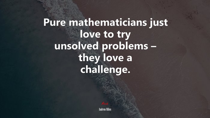 Pure mathematicians just love to try unsolved problems – they love a challenge. | Andrew Wiles quote