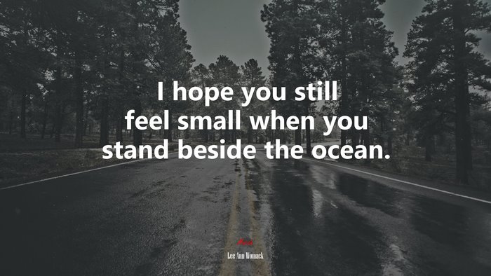 I hope you still feel small when you stand beside the ocean. | Lee Ann Womack quote