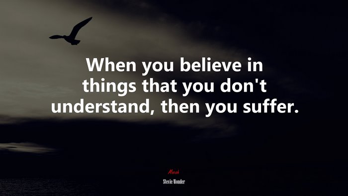 When you believe in things that you don’t understand, then you suffer. | Stevie Wonder quote