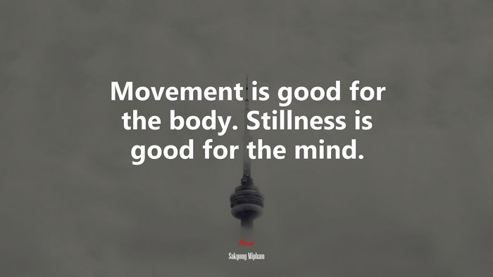 Movement is good for the body. Stillness is good for the mind. | Sakyong Mipham quote