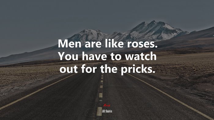 Men are like roses. You have to watch out for the pricks. | Jill Shalvis quote