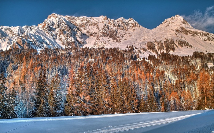 Snow-covered mountains and pine forest at sunset