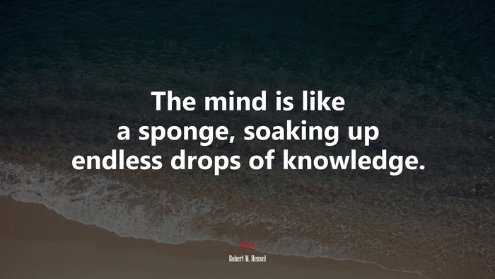 The mind is like a sponge, soaking up endless drops of knowledge. | Robert M. Hensel quote