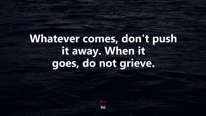Whatever comes, don’t push it away. When it goes, do not grieve. | Mooji quote