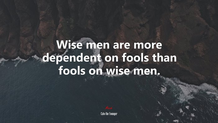 Wise men are more dependent on fools than fools on wise men. | Cato the Younger quote
