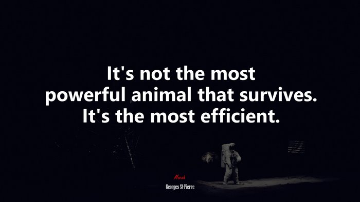 It’s not the most powerful animal that survives. It’s the most efficient. | Georges St-Pierre quote