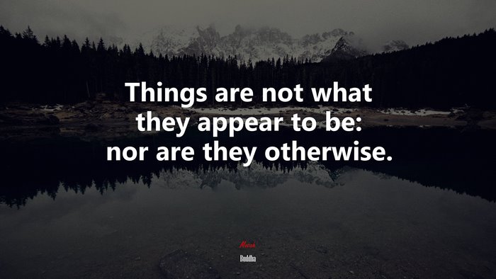 Things are not what they appear to be: nor are they otherwise. | Buddha quote