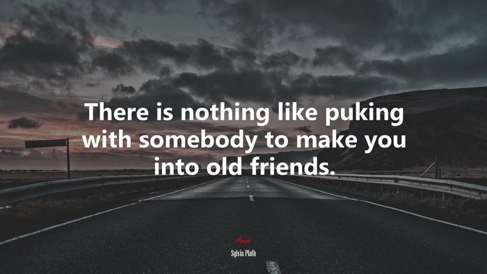 There is nothing like puking with somebody to make you into old friends. | Sylvia Plath quote