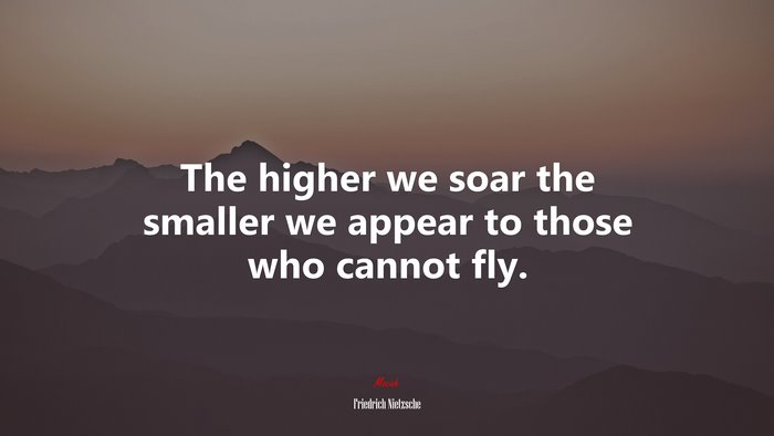 The higher we soar the smaller we appear to those who cannot fly. | Friedrich Nietzsche quote