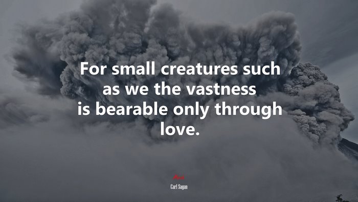 For small creatures such as we the vastness is bearable only through love. | Carl Sagan quote