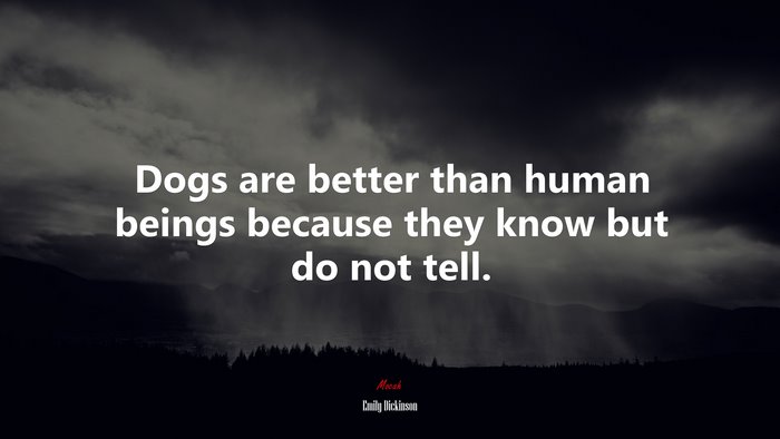 Dogs are better than human beings because they know but do not tell. | Emily Dickinson quote
