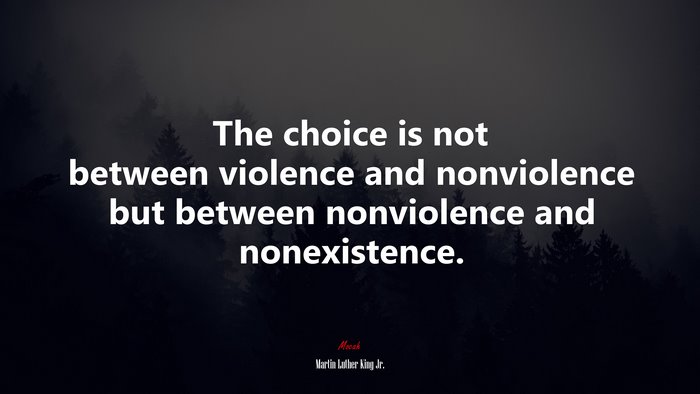 The choice is not between violence and nonviolence but between nonviolence and nonexistence. | Martin Luther King Jr. quote