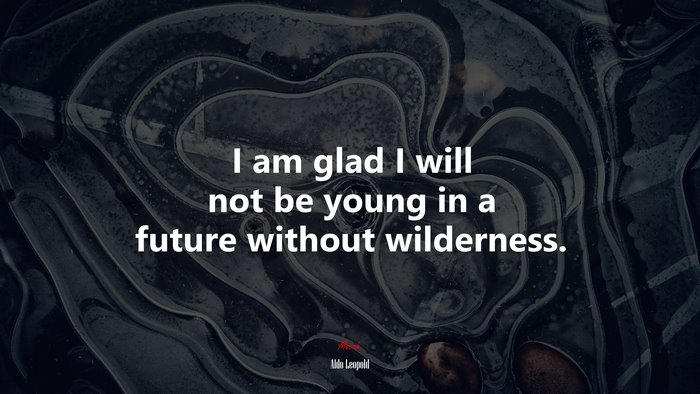 I am glad I will not be young in a future without wilderness. | Aldo Leopold quote