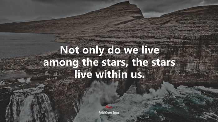 Not only do we live among the stars, the stars live within us. | Neil deGrasse Tyson quote