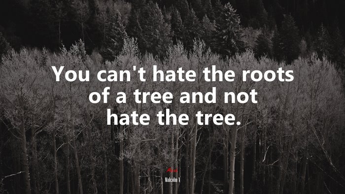 You can’t hate the roots of a tree and not hate the tree. | Malcolm X quote