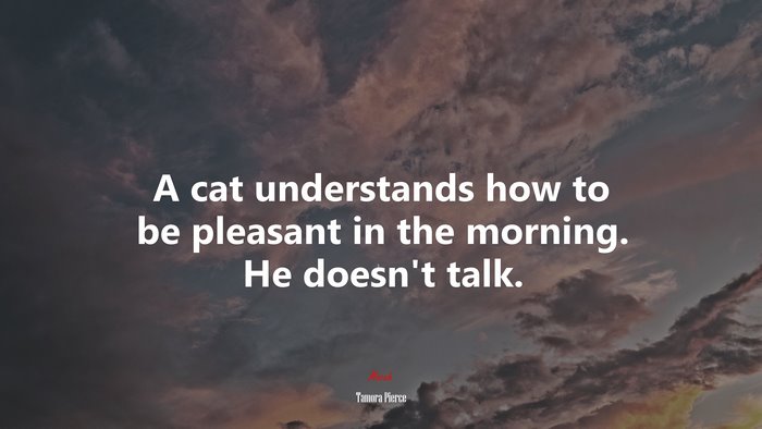 A cat understands how to be pleasant in the morning. He doesn’t talk. | Tamora Pierce quote