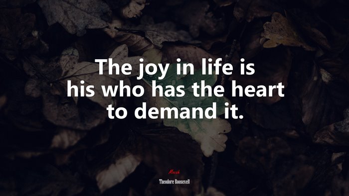 The joy in life is his who has the heart to demand it. | Theodore Roosevelt quote