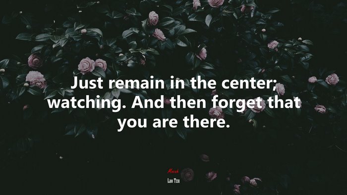 Just remain in the center; watching. And then forget that you are there. | Lao Tzu quote