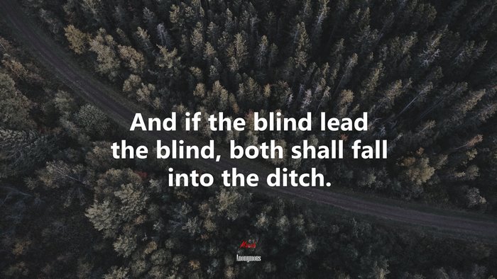 And if the blind lead the blind, both shall fall into the ditch. | Anonymous quote