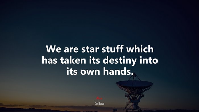 We are star stuff which has taken its destiny into its own hands. | Carl Sagan quote