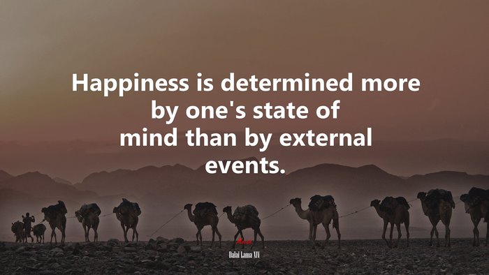 Happiness is determined more by ones state of mind than by external events. | Dalai Lama XIV quote