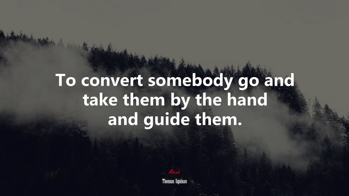 To convert somebody go and take them by the hand and guide them. | Thomas Aquinas quote