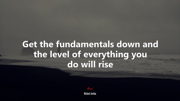 Get the fundamentals down and the level of everything you do will rise | Michael Jordan quote