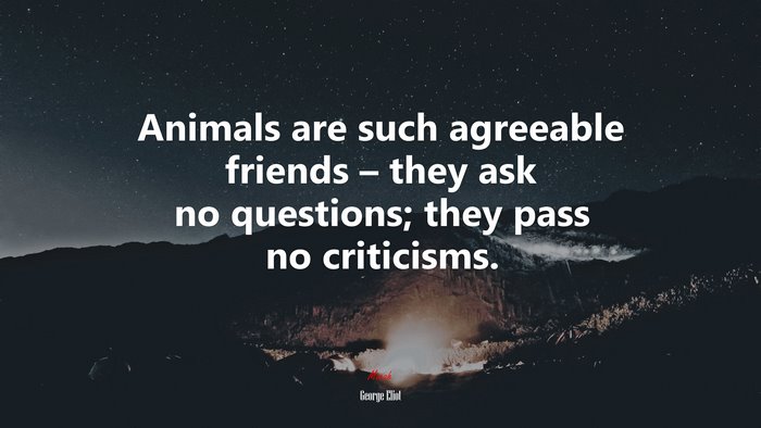 Animals are such agreeable friends – they ask no questions; they pass no criticisms. | George Eliot quote