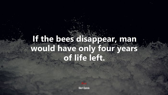 If the bees disappear, man would have only four years of life left. | Albert Einstein quote