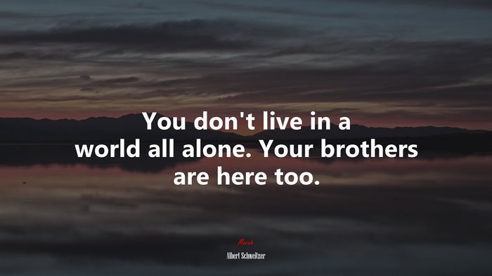 You don’t live in a world all alone. Your brothers are here too. | Albert Schweitzer quote