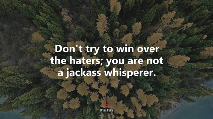 Don’t try to win over the haters; you are not a jackass whisperer. | Brené Brown quote