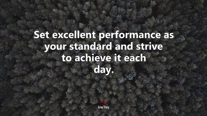 Set excellent performance as your standard and strive to achieve it each day. | Brian Tracy quote