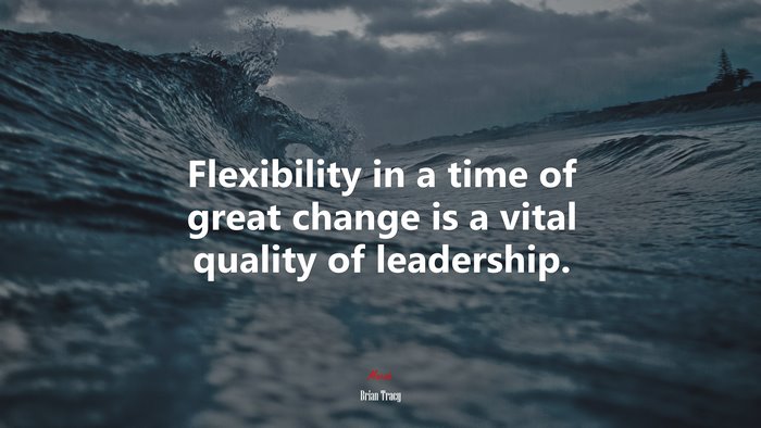 Flexibility in a time of great change is a vital quality of leadership. | Brian Tracy quote