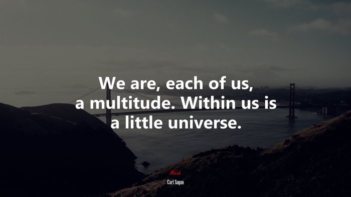 We are, each of us, a multitude. Within us is a little universe. | Carl Sagan quote