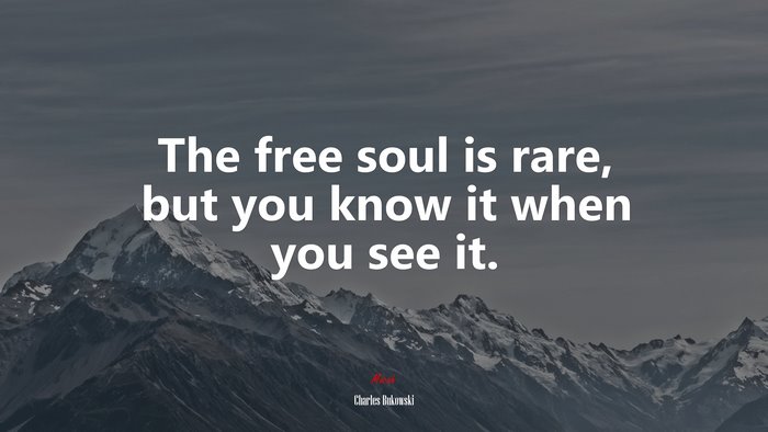 The free soul is rare, but you know it when you see it. | Charles Bukowski quote