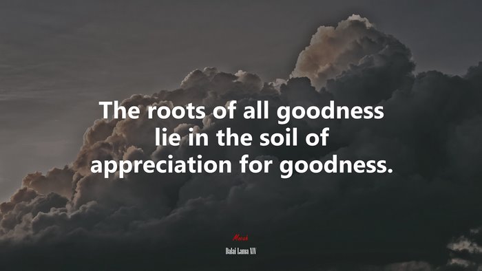 The roots of all goodness lie in the soil of appreciation for goodness. | Dalai Lama XIV quote