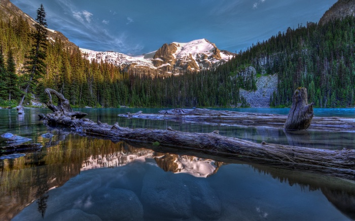Lake with Mountains and Trees