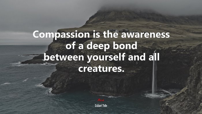 Compassion is the awareness of a deep bond between yourself and all creatures. | Eckhart Tolle quote