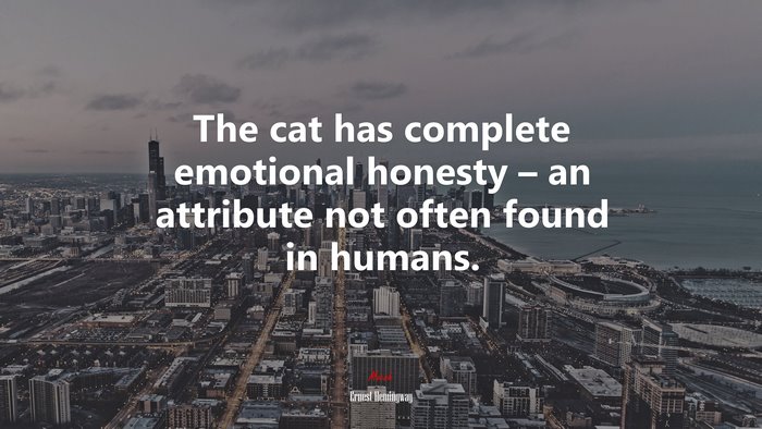 The cat has complete emotional honesty – an attribute not often found in humans. | Ernest Hemingway quote