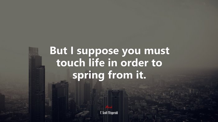 But I suppose you must touch life in order to spring from it. | F. Scott Fitzgerald quote