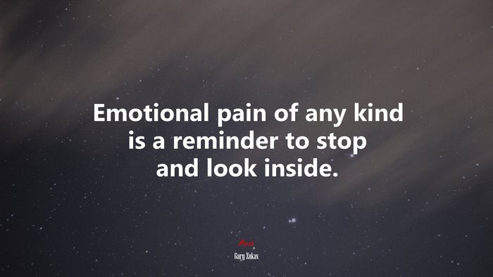 Emotional pain of any kind is a reminder to stop and look inside. | Gary Zukav quote
