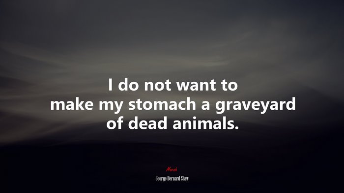 I do not want to make my stomach a graveyard of dead animals. | George Bernard Shaw quote