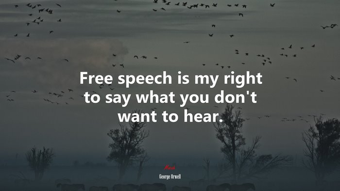 Free speech is my right to say what you don’t want to hear. | George Orwell quote