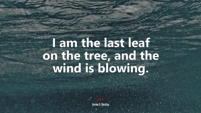 I am the last leaf on the tree, and the wind is blowing. | Gordon B. Hinckley quote