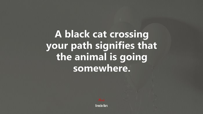 A black cat crossing your path signifies that the animal is going somewhere. | Groucho Marx quote