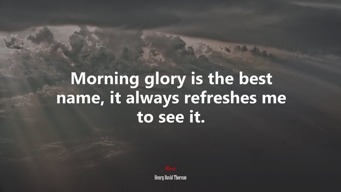 Morning glory is the best name, it always refreshes me to see it. | Henry David Thoreau quote