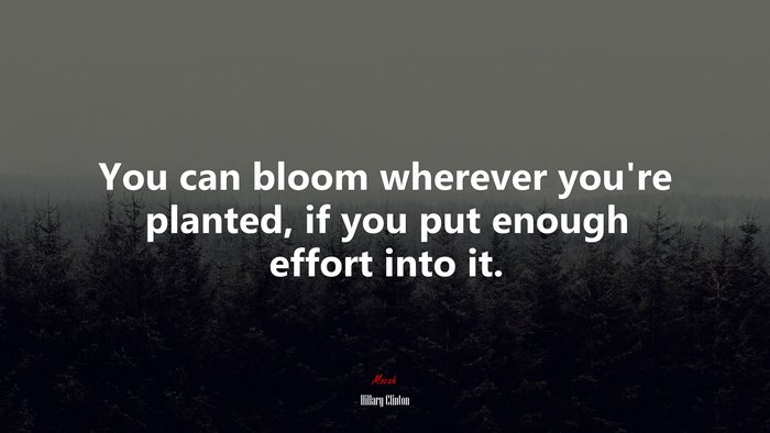 You can bloom wherever you’re planted, if you put enough effort into it. | Hillary Clinton quote