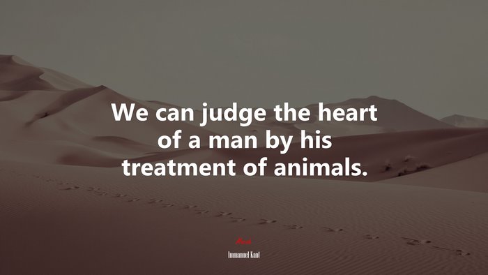 We can judge the heart of a man by his treatment of animals. | Immanuel Kant quote